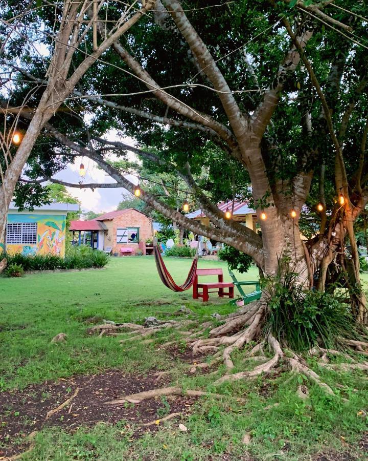 Campito Loving Bed & Breakfast Higuey Exterior photo