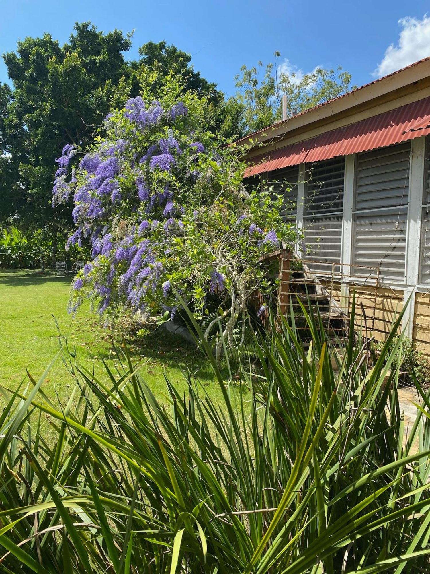Campito Loving Bed & Breakfast Higuey Exterior photo